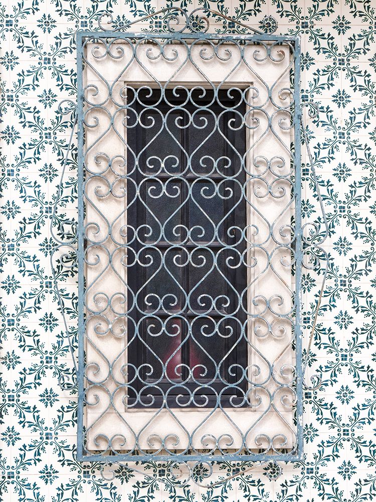 Portugal-Aveiro-Shuttered window on tiled wall with wrought iron covering